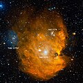 L'amas ouvert à gauche est souvent désignée par NGC 2175S.