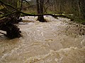 Kleineres Hochwasser nach Schneeschmelze (2008)