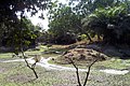 Abuko Nature Reserve