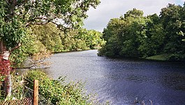 Rivier de Spey bij Kincraig