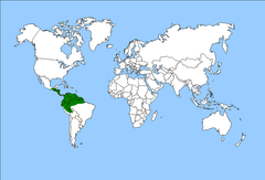 Distribuição das Metaxyaceae.