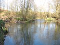 Zusammenfluss von Bega (von rechts) und Salze