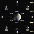 Lunar phase diagram; improve see below