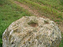 Menhir des Planches mit Schälchen auf der Oberseite