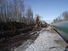 Photo of a forest with a pipeline and road running through it, and a piece of construction machinery on the road