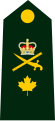 Brigadier-général de l'Armée canadienne