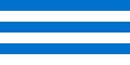 Vlag van Tallinn (Estland)