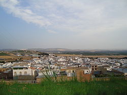 Anvista de Gilena