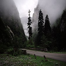 Jalan yang mengarah ke Danau Ritza