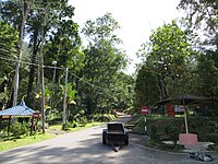 Kaki bukit, 2012