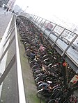 Bicycles near the railway station