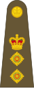 Colonel