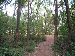 馬王堆漢墓遺跡