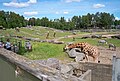 Borås Djurpark.