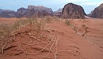 Wadi Rum-ørkenen