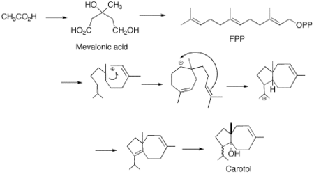 Proposed cyclization of FPP to Carotol.