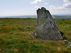 Menhir am Cerrig Lladron