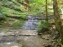 Photograph of a gentle waterfall trickling down fern-clad stone ridges