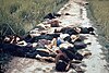 My Lai massacre