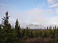 Ambiente de taiga in Alaska