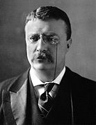 President Theodore Roosevelt uit New York Republikeinse Partij