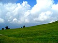 Toli Pir at Rawalakot