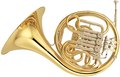 Modern French horn.