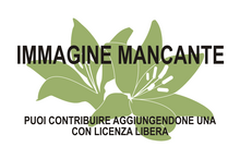 Immagine di Desmostachya bipinnata mancante