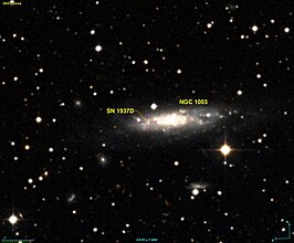 NGC 1003