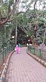 A pathway inside Bugle Rock park