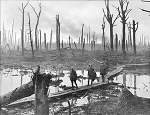 Chateau Wood Ypres 1917