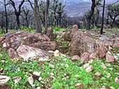 Dolmen de l'Agriotier