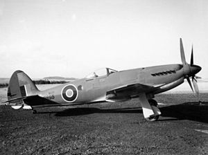 Supermarine Seafang Mk32