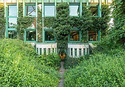 Vines cover the building exterior