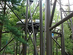 Wild Mouse