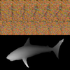 Random dot Stereogram and the shark hidden within