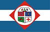 Flag of Correia Pinto