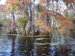 Merchants Millpond State Park