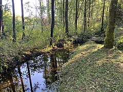 Der Antlenbach vor dem Stauteich bei Rhinschen-Schmidthausen