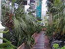 Interior of the Palm House