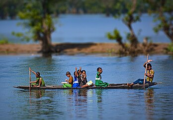 Des enfants à bord d'une barque sur la rivière Shari-Goyain, serpentant à travers la forêt marécageuse de Ratargul, dans l'upazila de Gowainghat. (définition réelle 5 330 × 3 687)