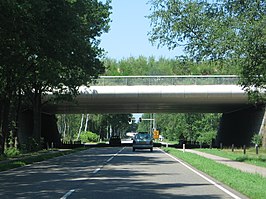 N524 onder Natuurbrug Zanderij Crailo