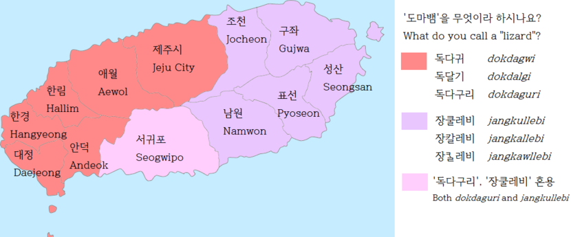 An east–west divide is salient in the Jeju words for "lizard". Eastern Seogwipo uses 장쿨레비 jangkullebi while western Seogwipo uses 독다구리 dokdaguri.[19]