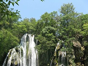 Selva secaTamasopo, San Luis Potosí