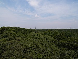 野山北・六道山公園の展望台から見た狭山丘陵（2007年6月撮影）