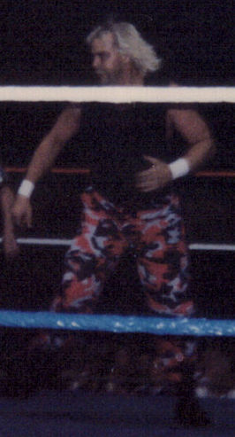 Windham in 1996