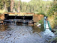 Barrage sur la rivière Salmon (Montana), États-Unis.