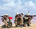 Hellenic Marines in a beach exercise