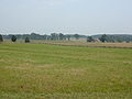 Endnu en af andendagens kendte slagmarker, The Wheatfield, der dengang faktisk var en hvedemark.