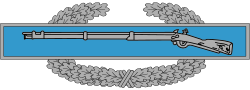 A metal device depicting a blue bar with a rifle, in front of a wreath of silver leaves.